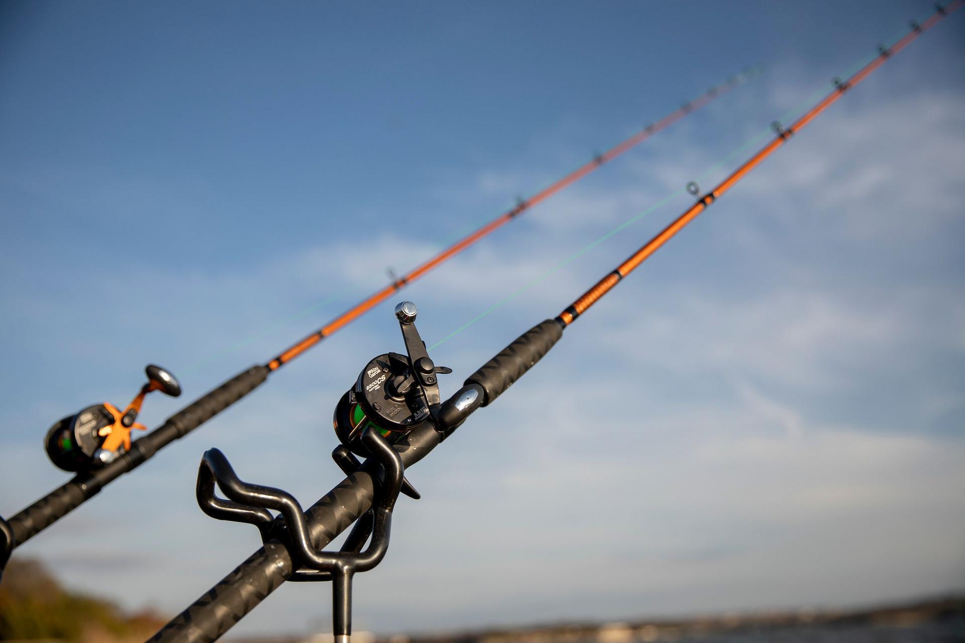 Catfish Casting Rod