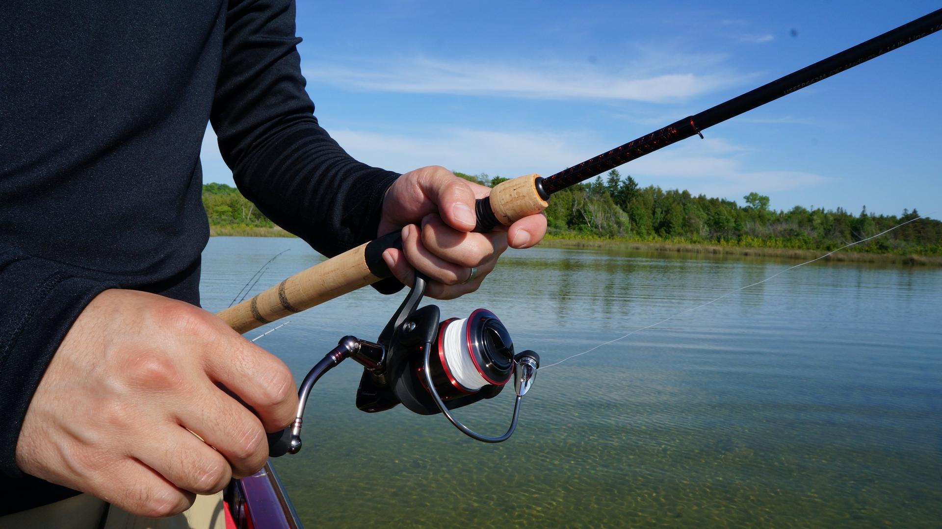 Elite Spinning Rod