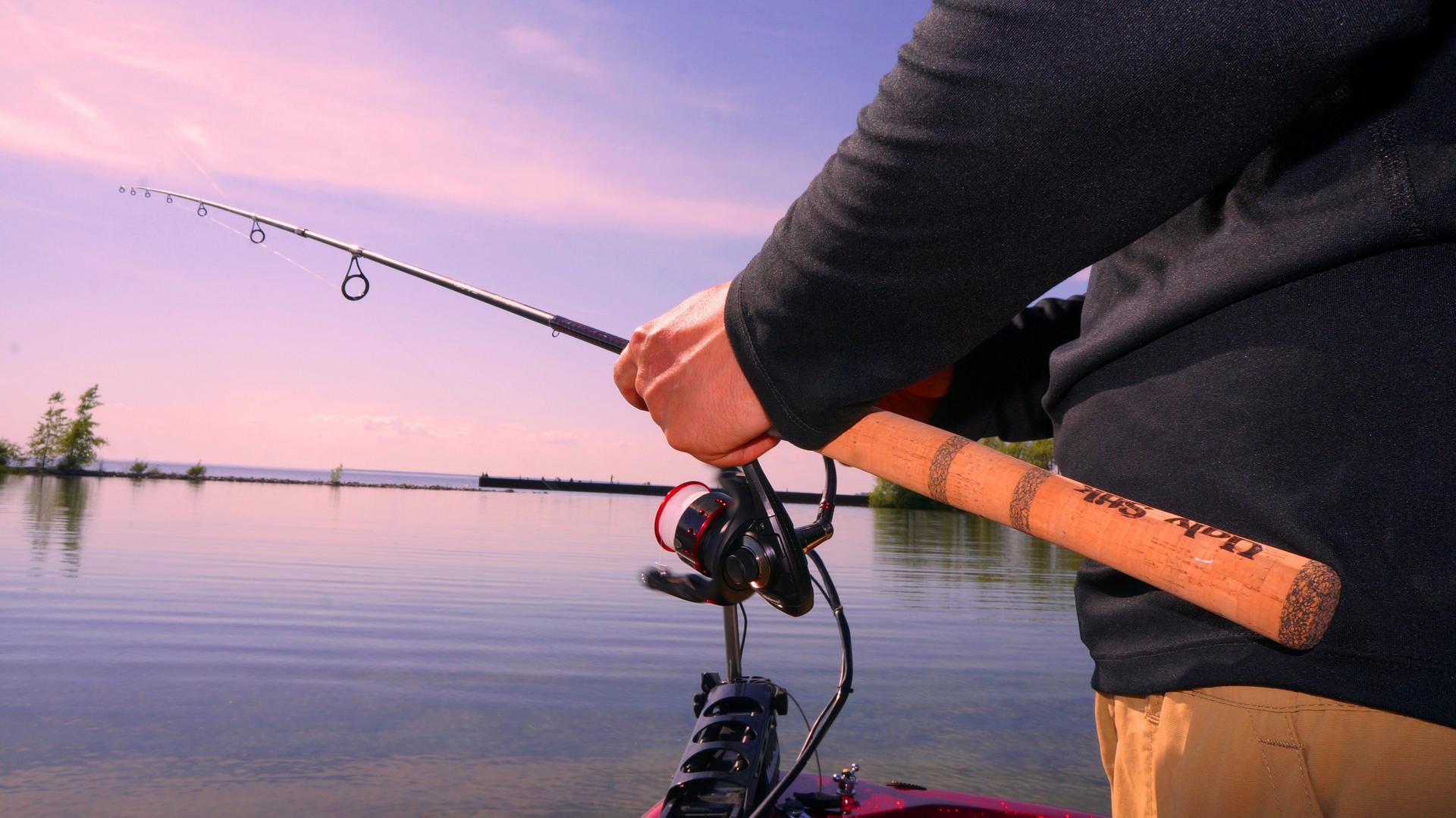 Elite Spinning Rod
