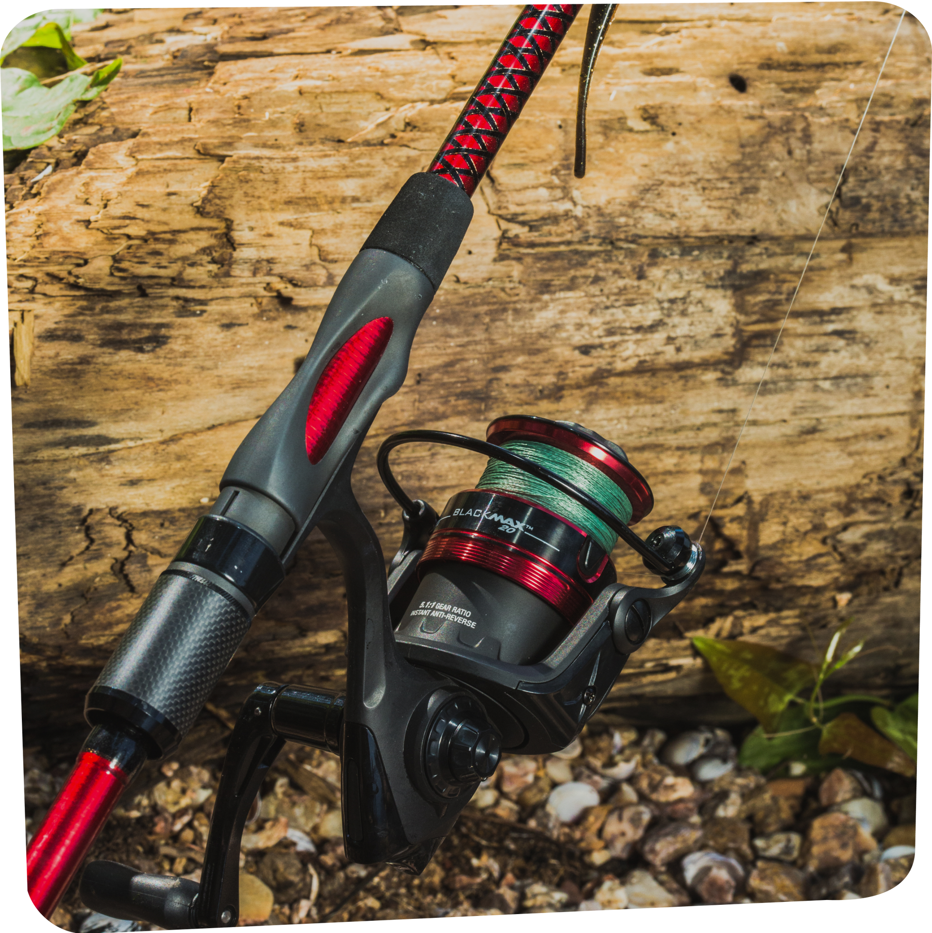 Ugly Stik Carbon
