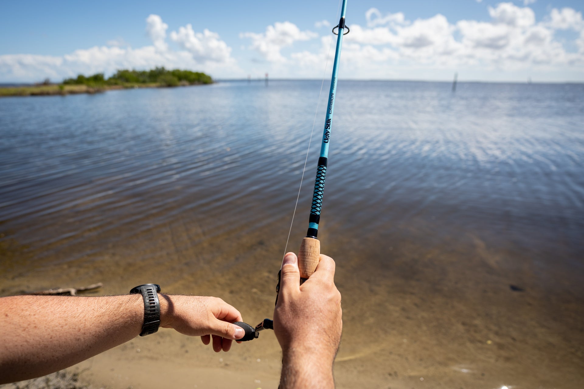 Carbon Inshore Casting Rod