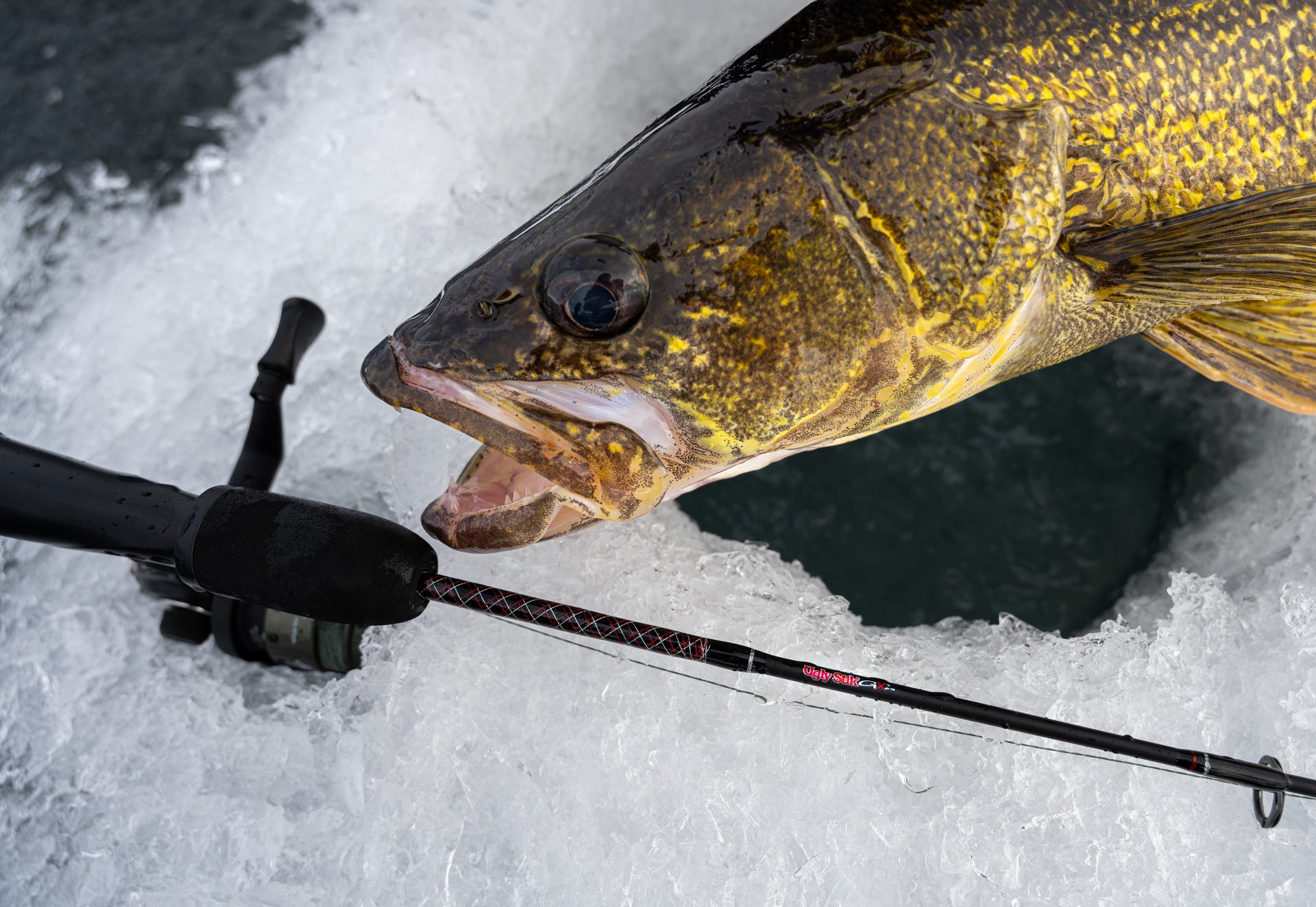 Pike Walleye Ice Rod Walleye Ice Ice Fishing Pike Rod Setup Best
