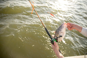 Catfish Casting Rod