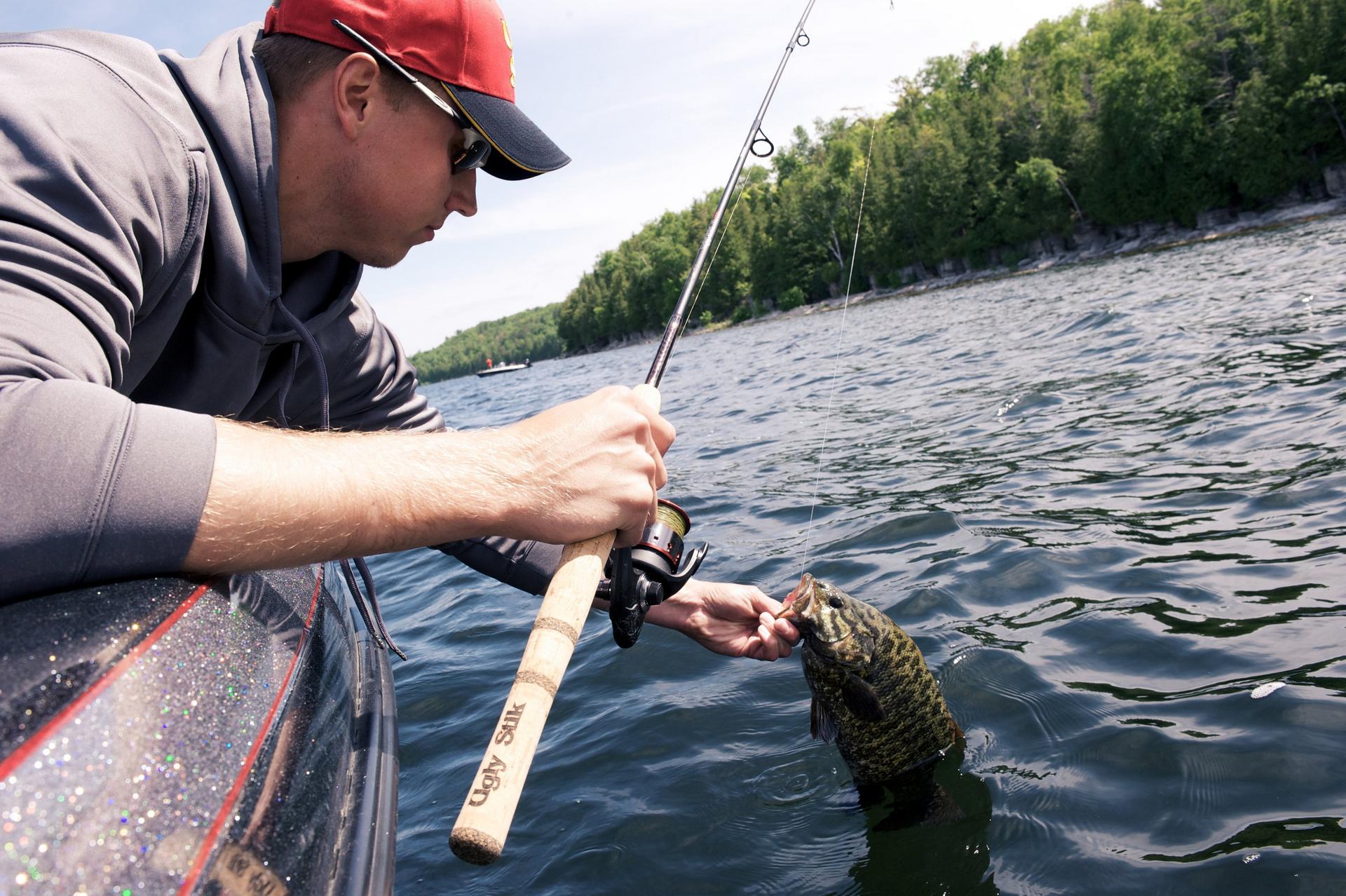 Elite Spinning Rod