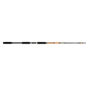 Ugly Stik Bigwater Spinning Rod