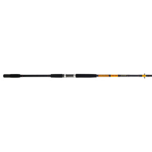 Ugly Stik Bigwater Spinning Rod