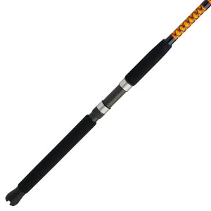 Ugly Stik BWSF1530S902 Bigwater Spinning Rod
