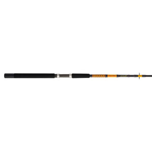 Ugly Stik Bigwater Spinning Rod