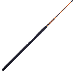 Catfish Special Spinning Rod Prod | Ugly Stik®