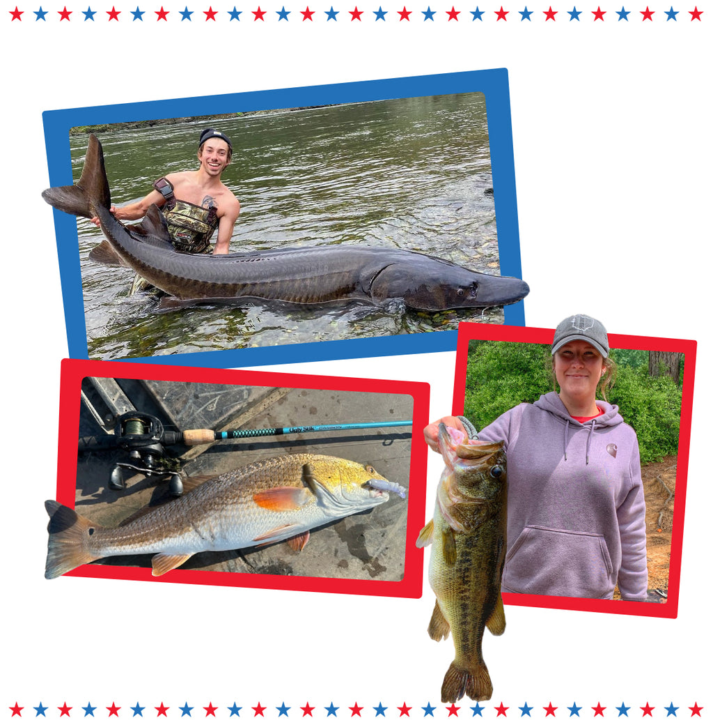 Collage of three images featuring people with large fish, including a man with a sturgeon, a woman with a bass, and a close-up of a fish.